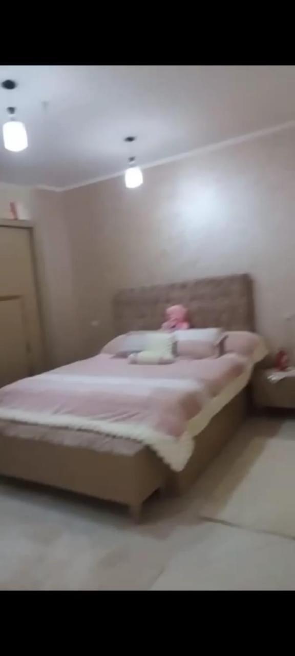شقة Apartment *
